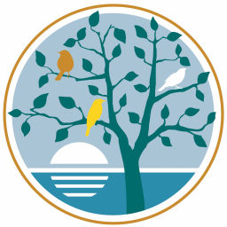 Podcast thumbnail for Reflective Meditation