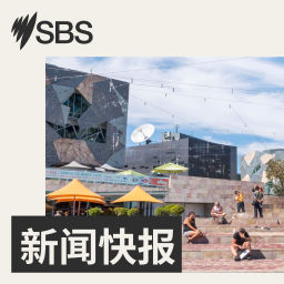 Podcast thumbnail for SBS 新闻快报