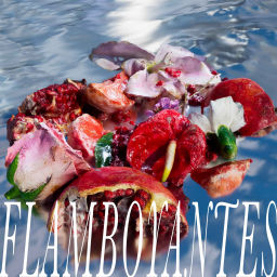 Podcast thumbnail for Flamboyantes