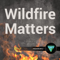 Podcast thumbnail for Wildfire Matters