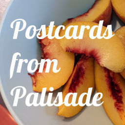 Podcast thumbnail for Postcards From Palisade