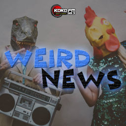 Podcast thumbnail for KDKD Weird News