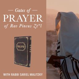 Podcast thumbnail for Gates of Prayer (שערים בתפלה) with Rabbi Sariel Malitzky