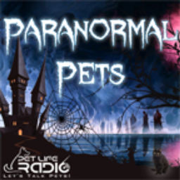Podcast thumbnail for Paranormal Pets - Ghostly Encounters with Past Pets - Pets & Animals on Pet Life Radio (PetLifeRadio.com)