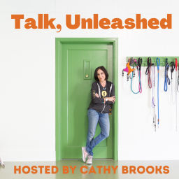 Podcast thumbnail for Talk, Unleashed