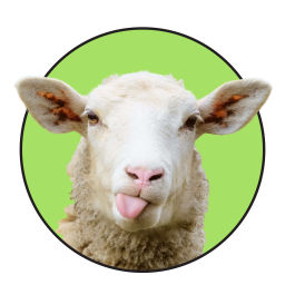 Podcast thumbnail for The Woolshit Podcast
