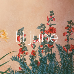 Podcast thumbnail for lil june