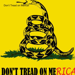 Podcast thumbnail for Don‘t Tread on Merica!