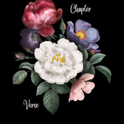 Podcast thumbnail for Chapter and Verse