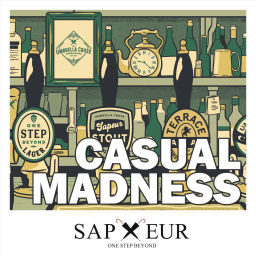 Podcast thumbnail for Casual Madness