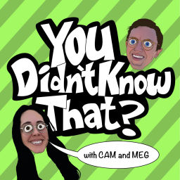 Podcast thumbnail for You Didn't Know That?
