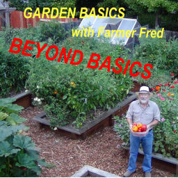 Podcast thumbnail for Beyond the Garden Basics Podcast