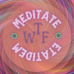 Podcast thumbnail for WTF Meditate