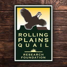 Podcast thumbnail for Dr. Dale on Quail