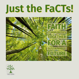 Podcast thumbnail for Just the FaCTs from FaCT Ohio