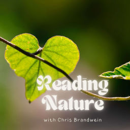 Podcast thumbnail for Reading Nature with Chris