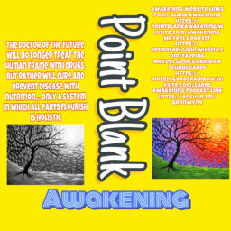 Podcast thumbnail for Point Blank Awakening