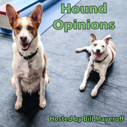 Podcast thumbnail for Hound Opinions