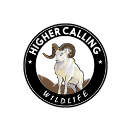 Podcast thumbnail for Higher Calling Wildlife