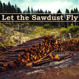 Podcast thumbnail for Let the Sawdust Fly