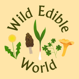 Podcast thumbnail for Wild Edible World: A Foraging Podcast