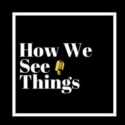 Podcast thumbnail for How We See Things
