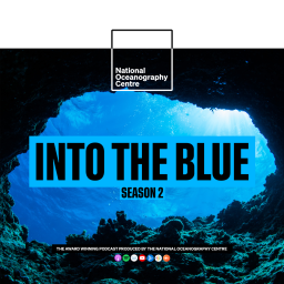 Podcast thumbnail for NOC Into the Blue Podcast