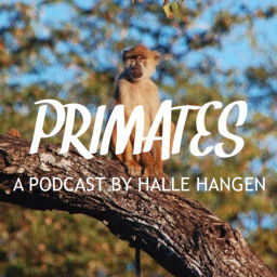 Podcast thumbnail for Primates