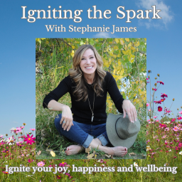 Podcast thumbnail for Igniting the Spark