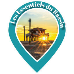 Podcast thumbnail for Les Essentiels du Bassin