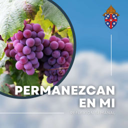 Podcast thumbnail for Permanezcan en mi
