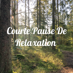 Podcast thumbnail for Courte Pause De Relaxation