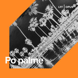 Podcast thumbnail for Po palme