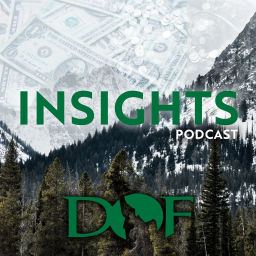 Podcast thumbnail for Insights by IDOF