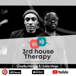 Podcast thumbnail for 3rd House Therapy