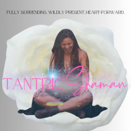 Podcast thumbnail for Winter | Tantric Shaman