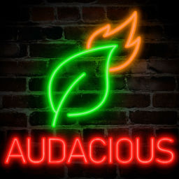 Podcast thumbnail for The Audacious Podcast with Talon Bolme