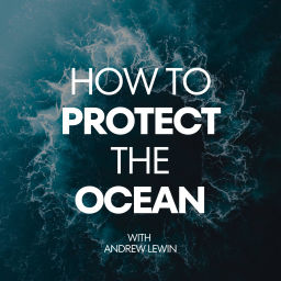 Podcast thumbnail for How To Protect The Ocean