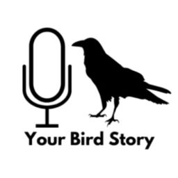 Podcast thumbnail for Your Bird Story