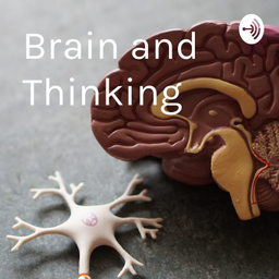 Podcast thumbnail for Brain and Thinking