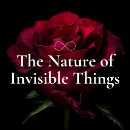Podcast thumbnail for The Nature of Invisible Things