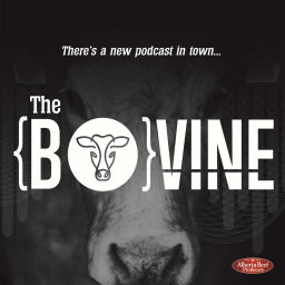 Podcast thumbnail for The Bovine