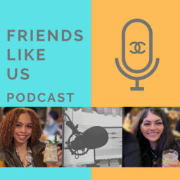 Podcast thumbnail for Friends Like Us