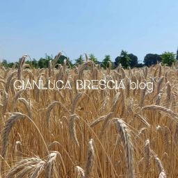 Podcast thumbnail for Gianluca Brescia blog