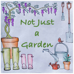 Podcast thumbnail for Not Just a Garden