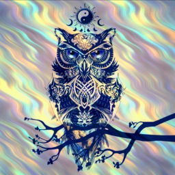 Podcast thumbnail for Baykuş Tarot