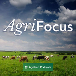 Podcast thumbnail for AgriFocus