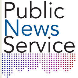 Podcast thumbnail for Public News Service