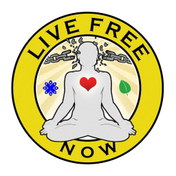 Podcast thumbnail for Live Free Now w/ John Bush