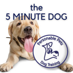 Podcast thumbnail for The 5 Minute Dog by Personable Pets Dog Training